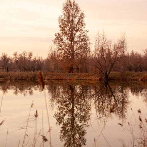 Photo #12918890