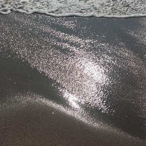 Photo #12918919