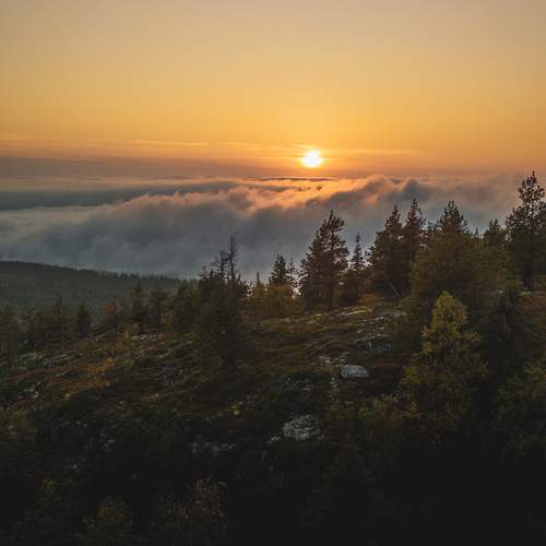 Фотография #12918971