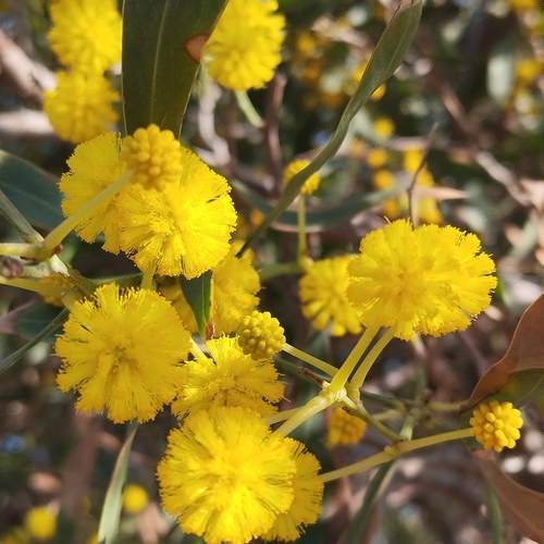 Photo #12918978