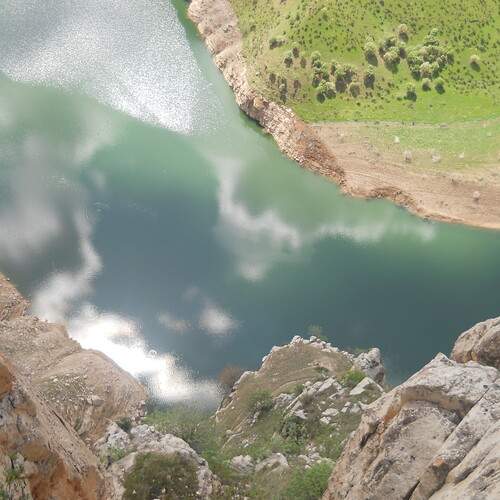 Photo #12919107