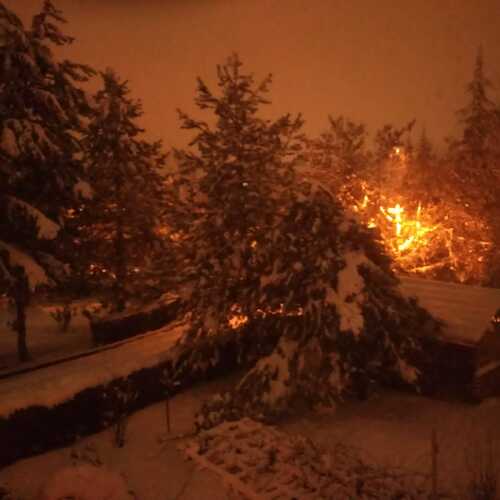 Photo #12919108