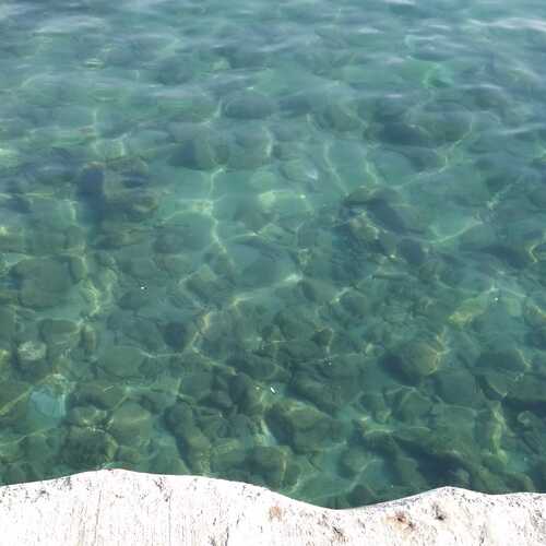 Photo #12919120