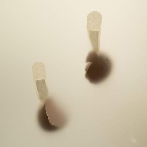 Photo #12919159