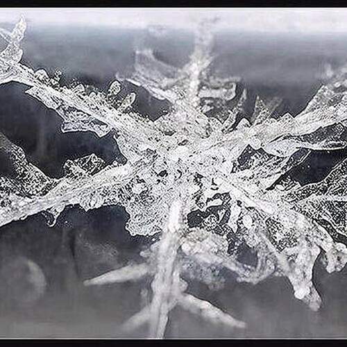 Up close snowflake