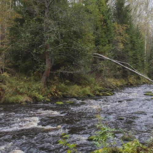Photo #12919751
