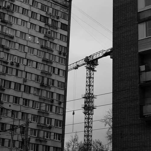 Photo #12919948