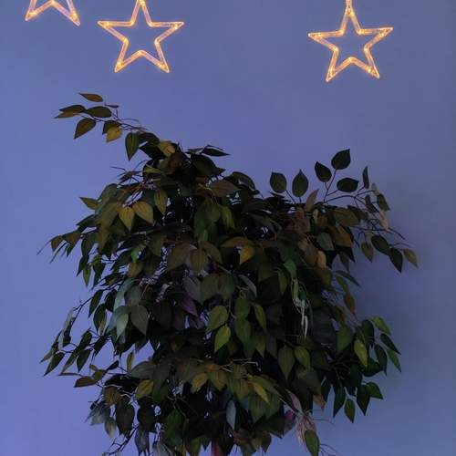 Photo #12920219