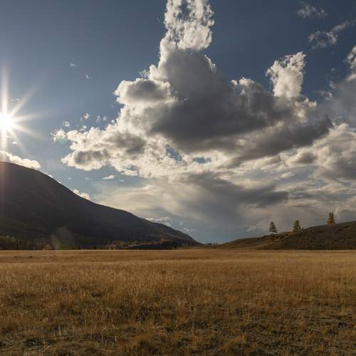 Photo #12920256