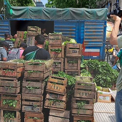 Photo #12920263
