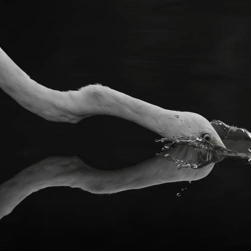 The Decisive Moment