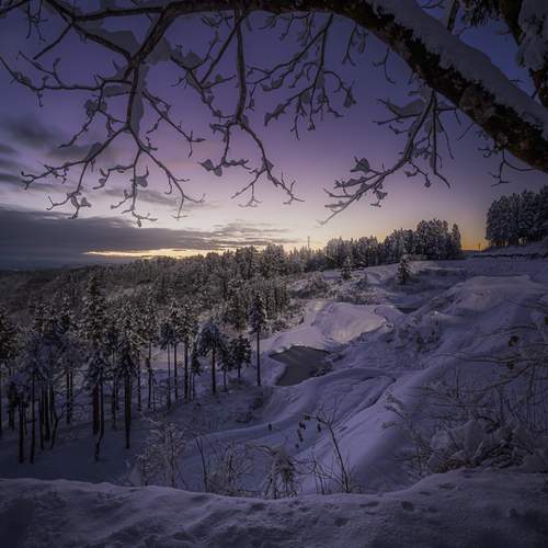 Фотография #12920724