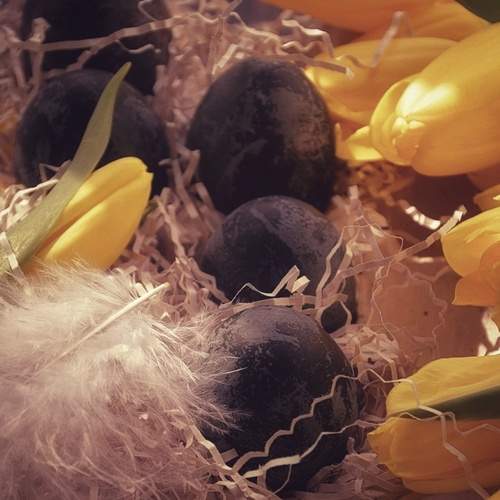 Photo #12920829