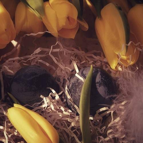 Photo #12920830