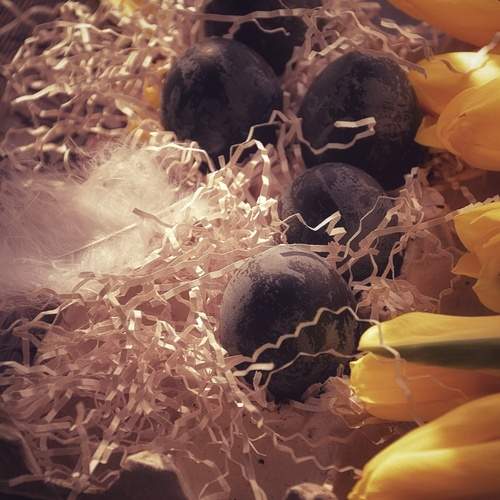 Photo #12920831