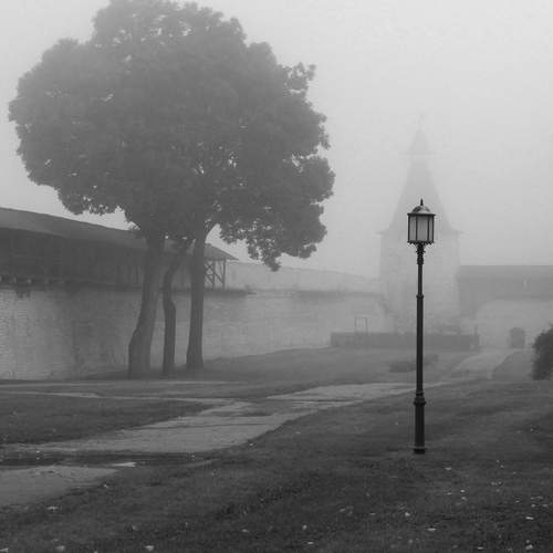 Photo #12921104