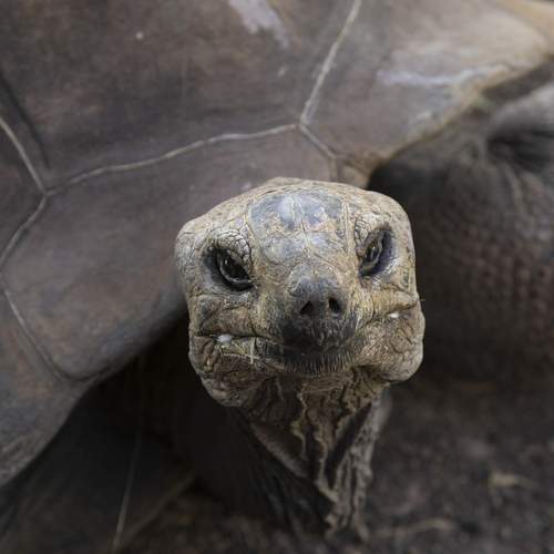 Photo #12921646