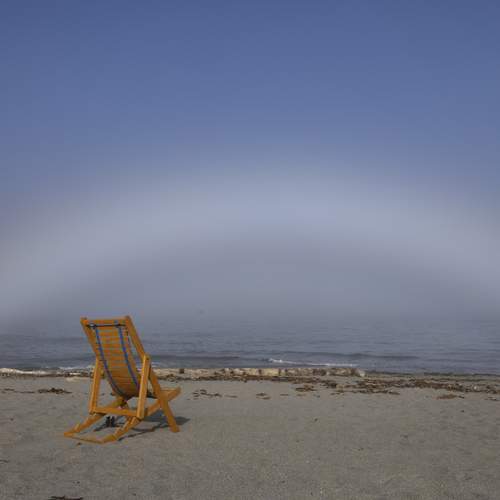 Photo #12921670