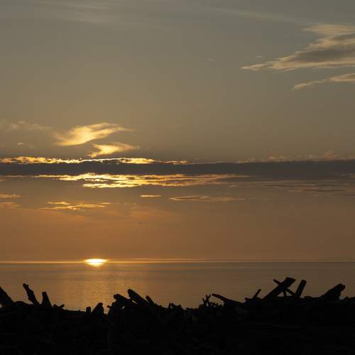 Photo #12921679