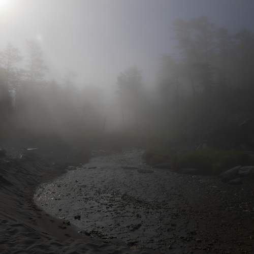 Photo #12921699