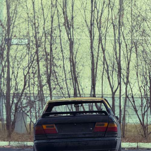 Photo #12921749
