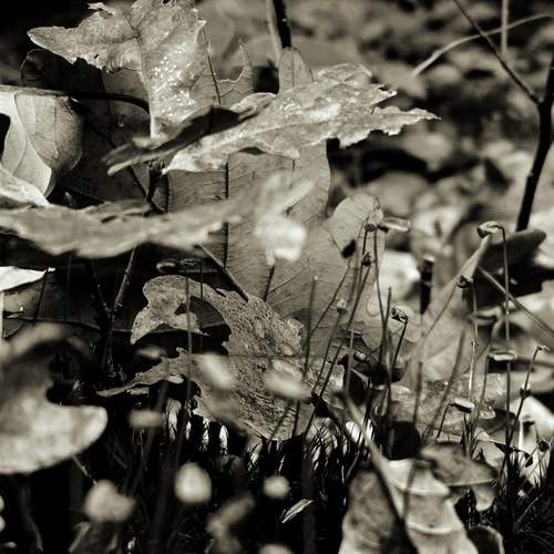 Photo #12921951