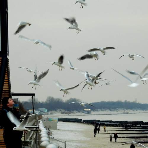 Photo #12922045