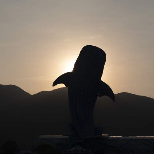 Photo #12922431