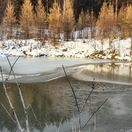 Photo #12922757