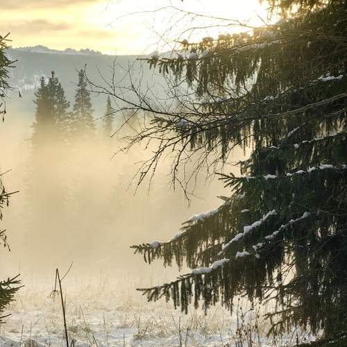 Photo #12922760