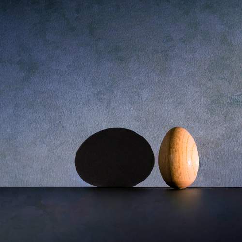 An egg and its shadow