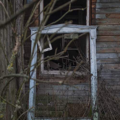 Photo #12923142