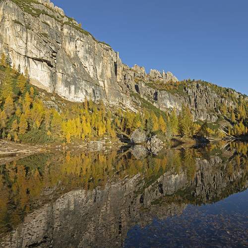 Photo #12923425