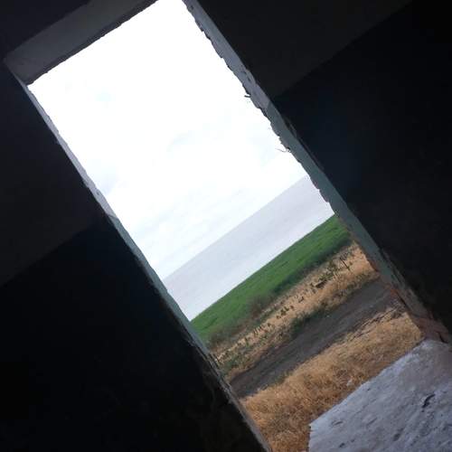 Photo #12923650