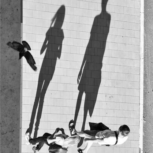 Свет играет тенями. Тени играют нами.