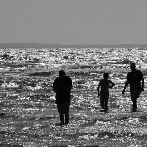 Photo #12923870