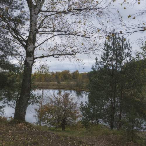 Photo #12923988
