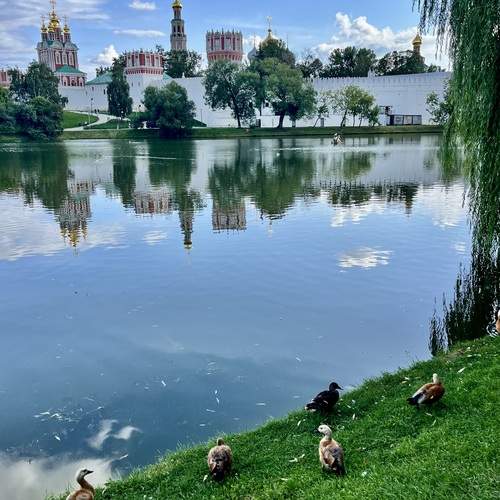 Photo #12924099