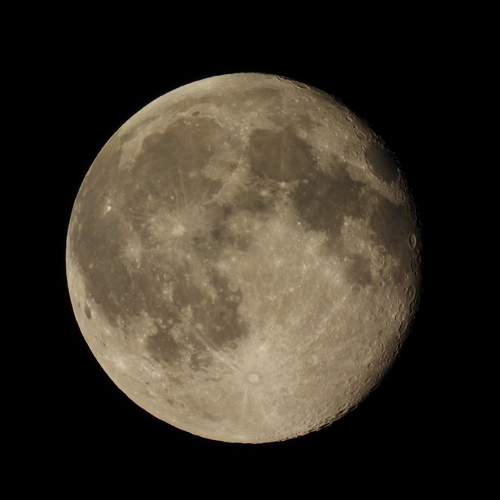 Photo #12924242