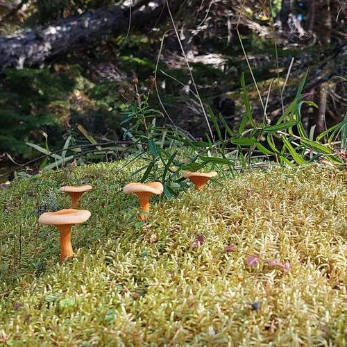 Photo #12924577