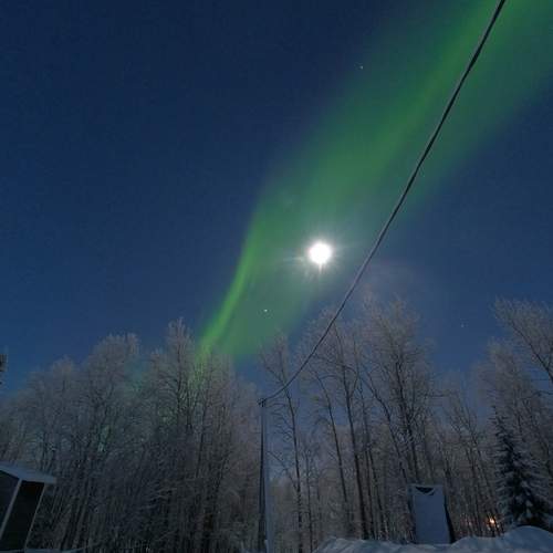 Photo #12924615
