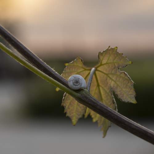 Photo #12924734