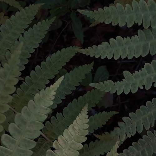 Photo #12924925
