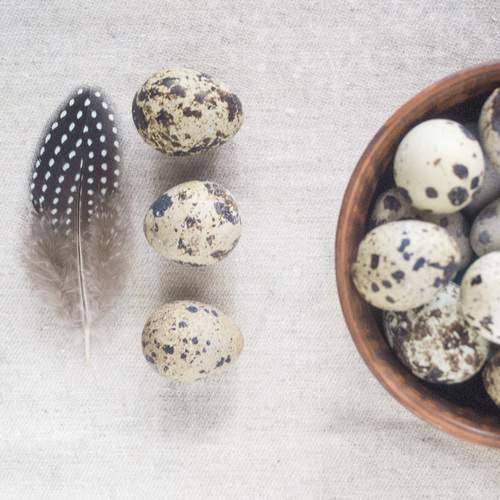 Photo #12924959