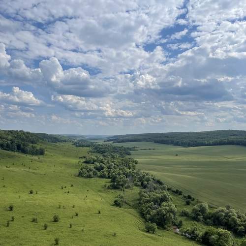 Photo #12925255