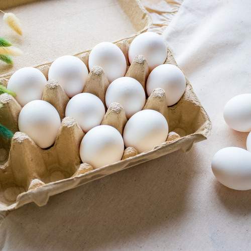 Photo #12925469