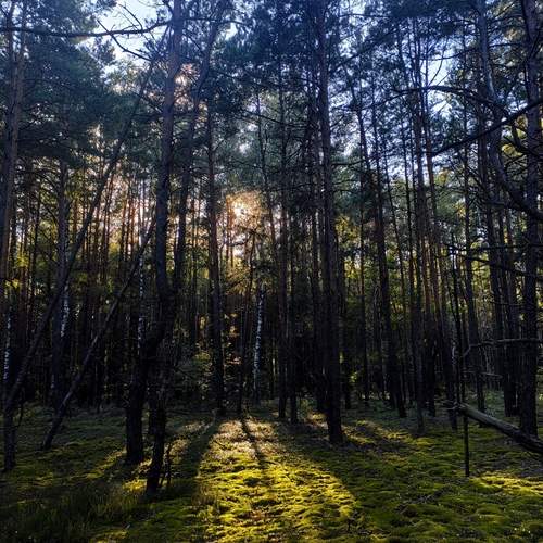 Photo #12925697