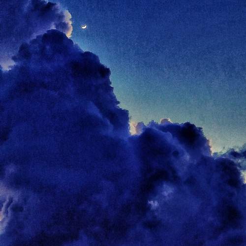 Photo #12925831