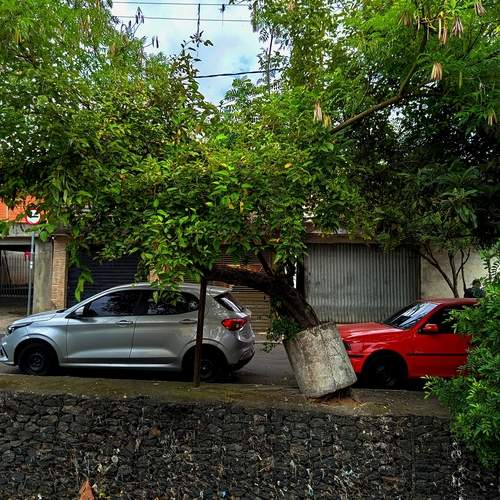 Photo #12926207