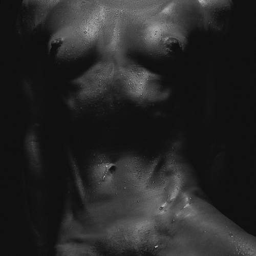 Фотография #12926875